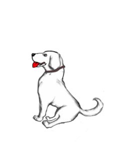 line art dog